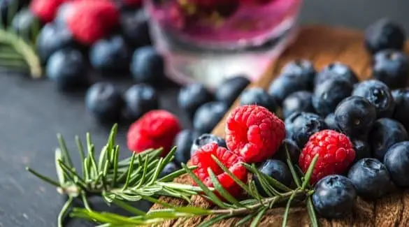 herbs and berries