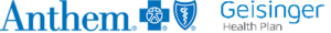 Best Online Counseling & Therapy blue cross blue shiels and geisinger insurance icons