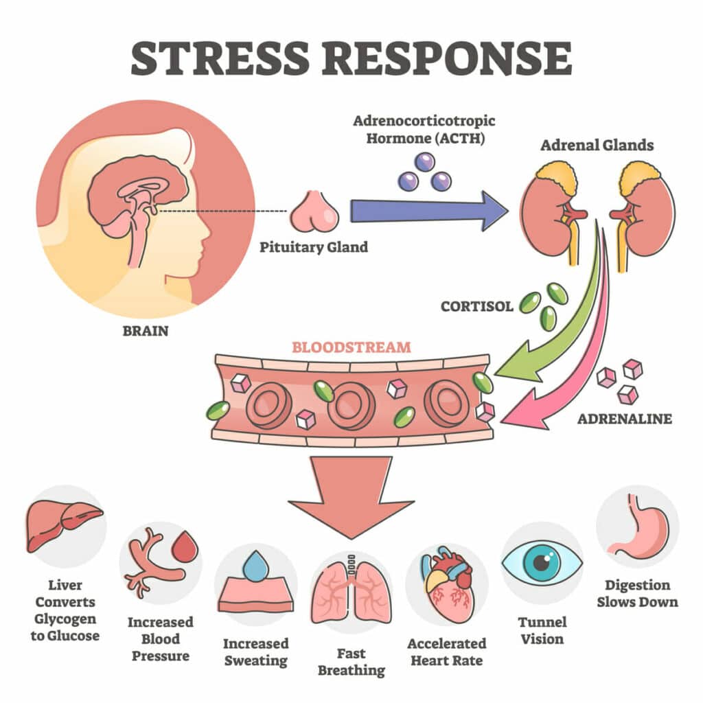 Deep breathing for heart health and to reduce stress for DeStress Monday