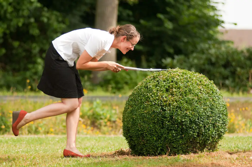 7 Signs of High Functioning Anxiety: Plus How To Relieve Some Of That Anxiety Woman meticulously trimming a shrub highlighting perfectionism as a symptom of high functioning anxiety