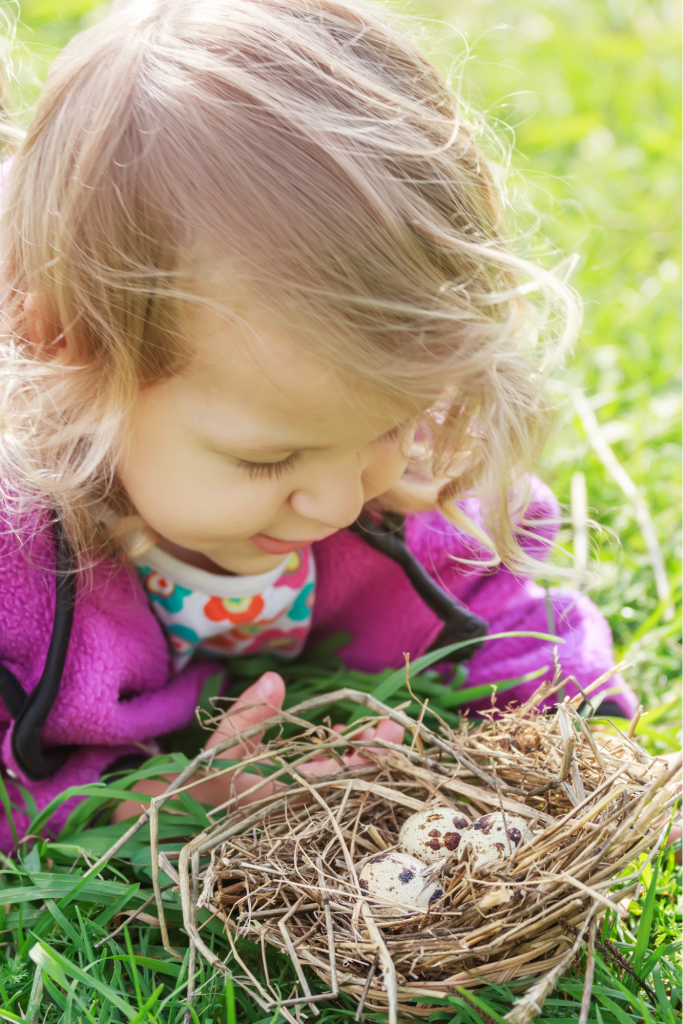 Just as a bird builds a nest, people’s parents build ways to relate to their children, forming their attachment styles in relationships.